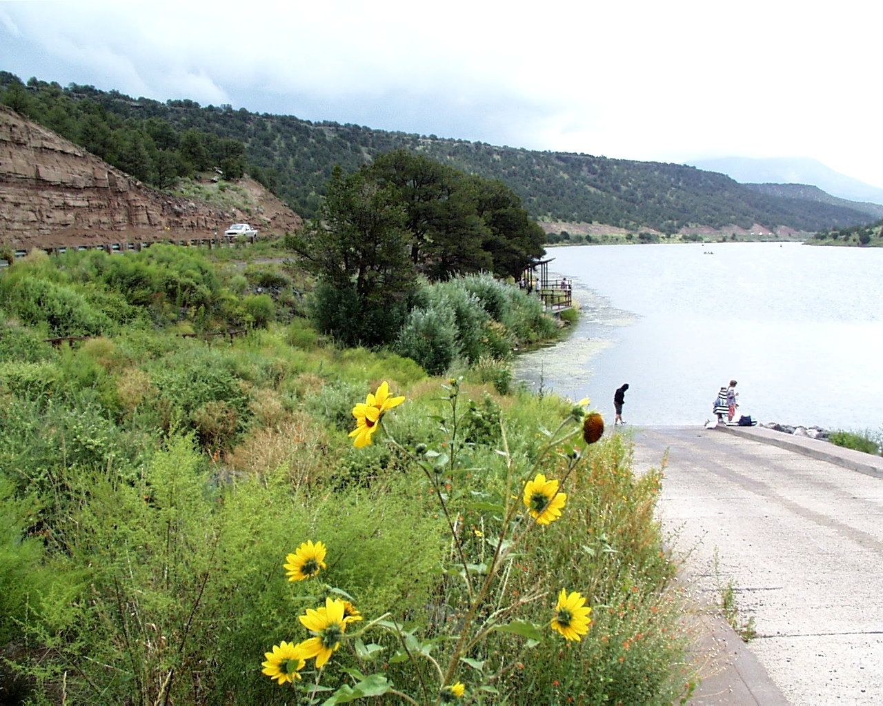 Coronado Trail Scenic Byway - Summer Lake