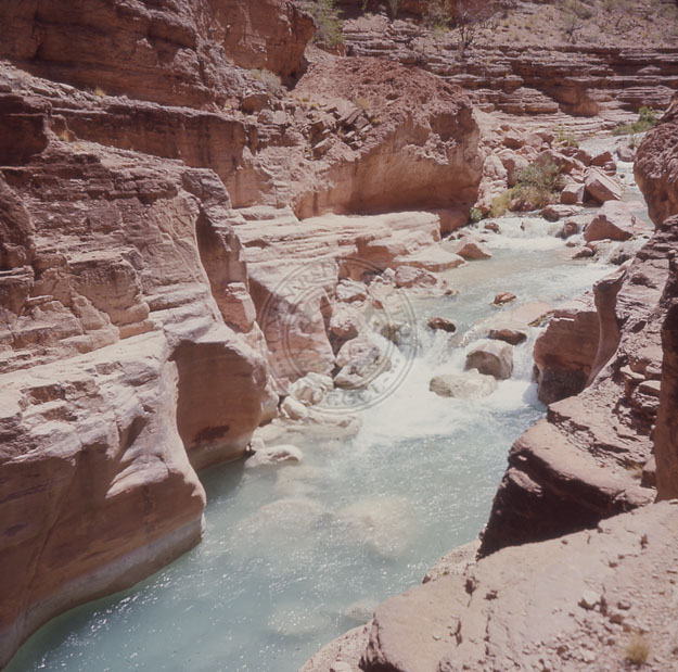 Grand Canyon Havasu Canyon
