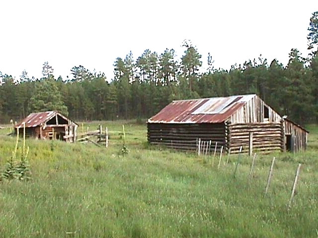 Coronado Trail Scenic Byway - Rustic Meadow Cabin